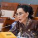 Anggota Komisi I DPR RI, Fraksi NasDem, Amelia Anggraini | Foto: Istimewa